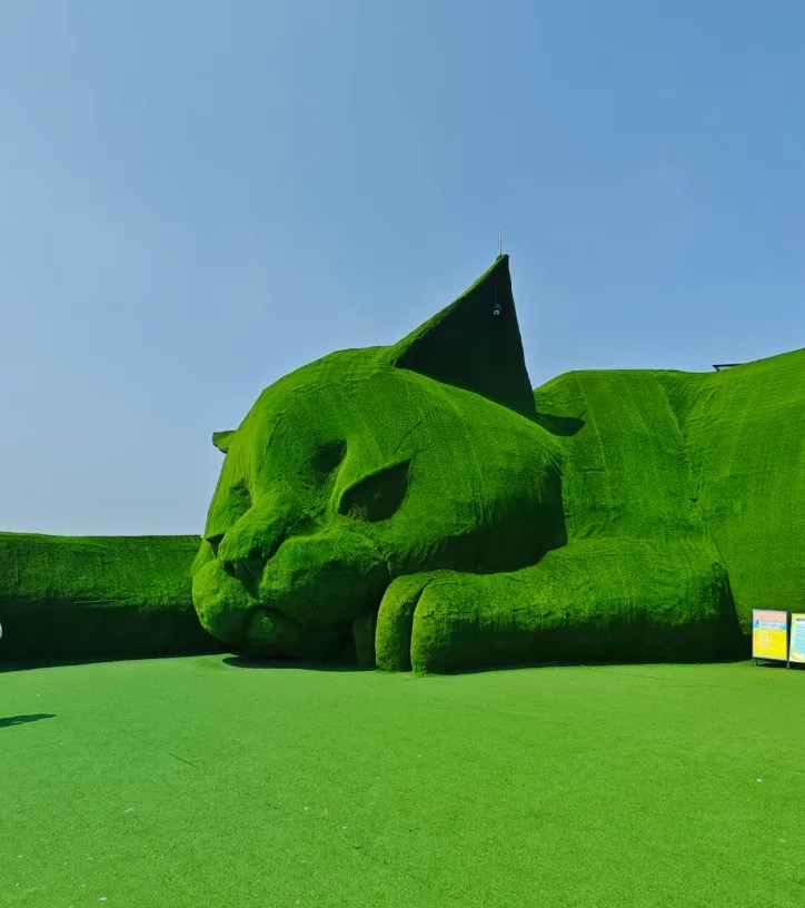 肥猫岛