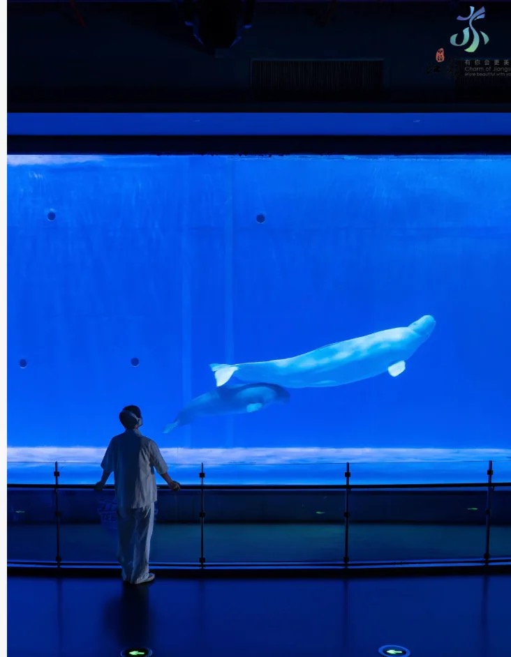 龙宫海洋馆